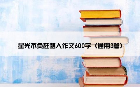 星光不负赶路人作文600字（通用3篇）
