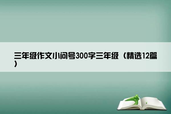 三年级作文小问号300字三年级（精选12篇）