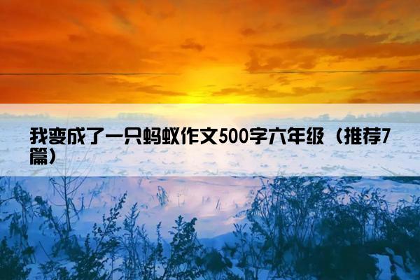 我变成了一只蚂蚁作文500字六年级（推荐7篇）