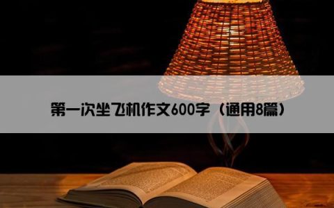 第一次坐飞机作文600字（通用8篇）