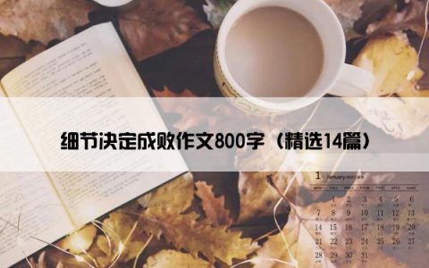 细节决定成败作文800字（精选14篇）
