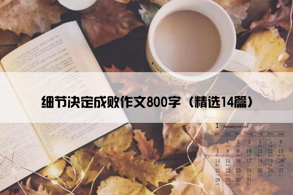 细节决定成败作文800字（精选14篇）