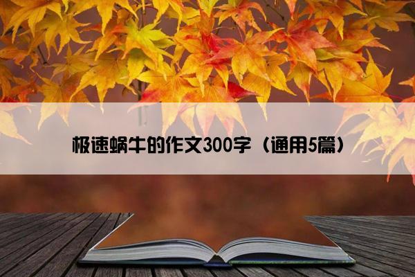 极速蜗牛的作文300字（通用5篇）