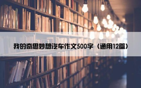 我的奇思妙想汽车作文500字（通用12篇）