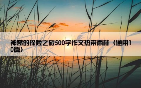 神奇的探险之旅500字作文热带雨林（通用10篇）