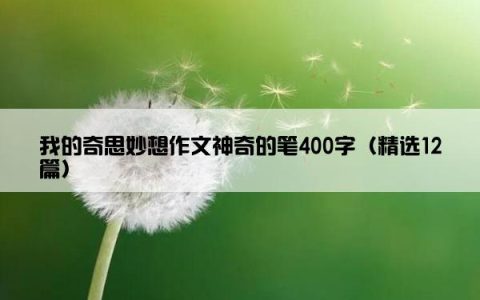 我的奇思妙想作文神奇的笔400字（精选12篇）