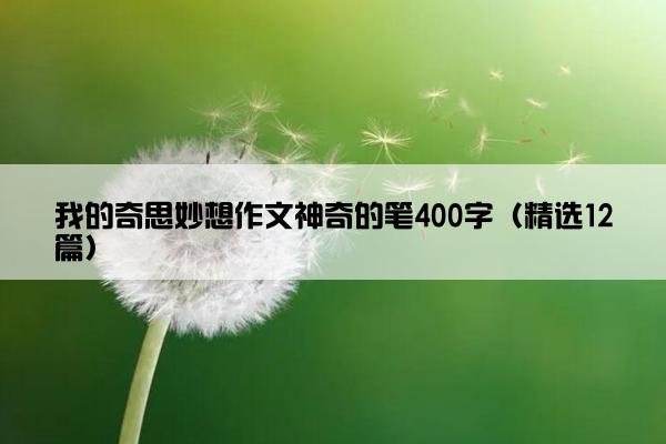 我的奇思妙想作文神奇的笔400字（精选12篇）