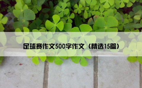 足球赛作文500字作文（精选15篇）