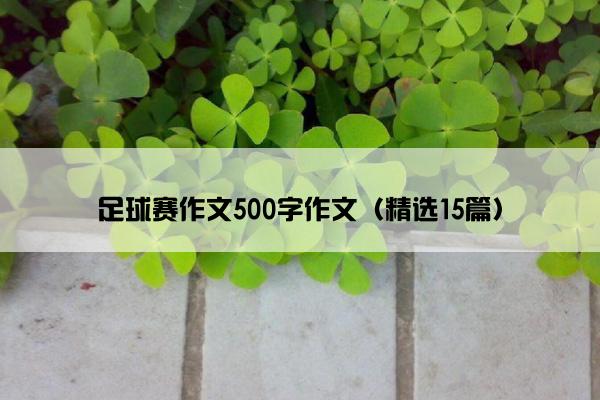 足球赛作文500字作文（精选15篇）