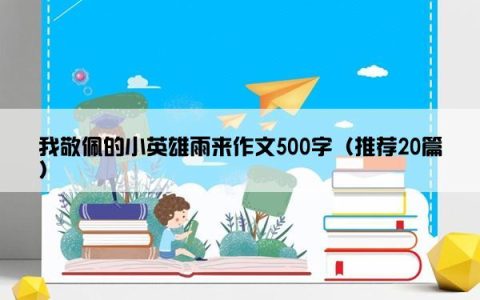 我敬佩的小英雄雨来作文500字（推荐20篇）