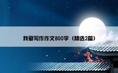 我爱写作作文800字（精选2篇）