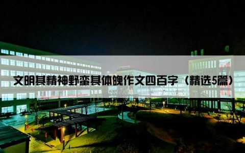 文明其精神野蛮其体魄作文四百字（精选5篇）
