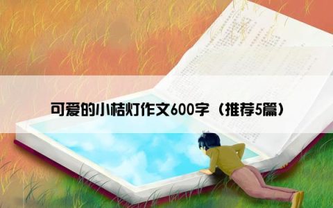 可爱的小桔灯作文600字（推荐5篇）