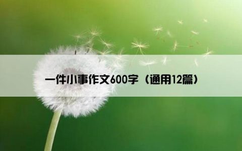 一件小事作文600字（通用12篇）