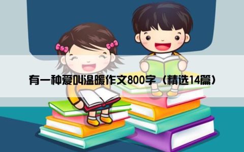 有一种爱叫温暖作文800字（精选14篇）