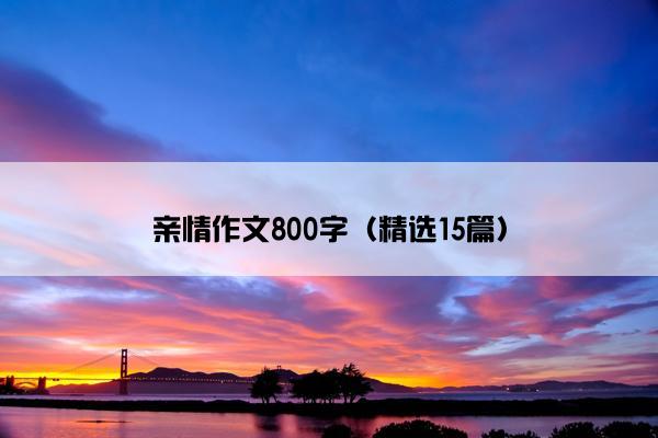 亲情作文800字（精选15篇）