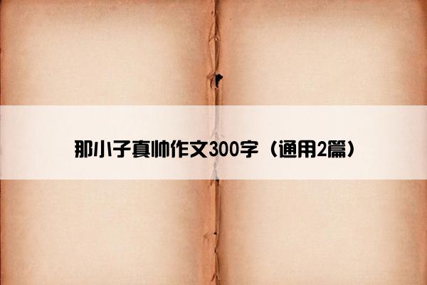 那小子真帅作文300字（通用2篇）