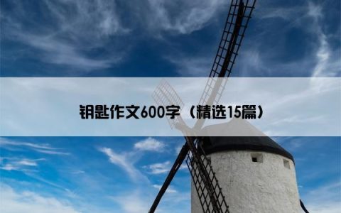 钥匙作文600字（精选15篇）