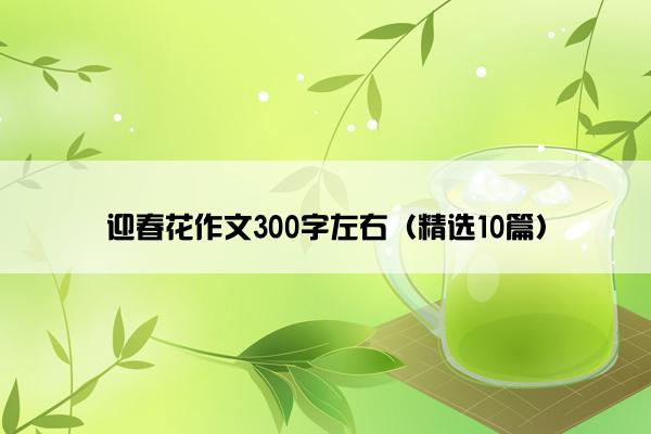 迎春花作文300字左右（精选10篇）