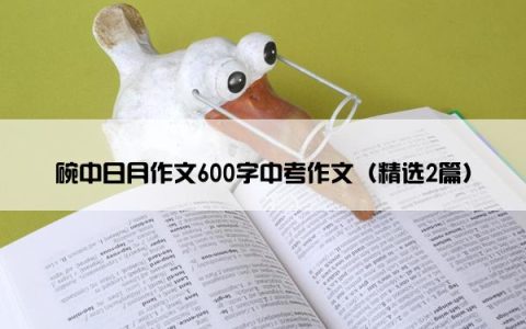碗中日月作文600字中考作文（精选2篇）