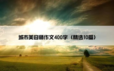 城市美容师作文400字（精选10篇）