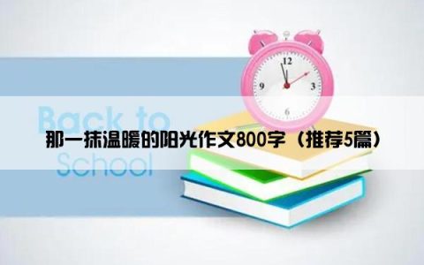 那一抹温暖的阳光作文800字（推荐5篇）
