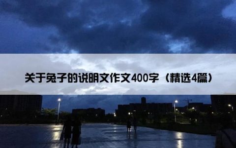 关于兔子的说明文作文400字（精选4篇）