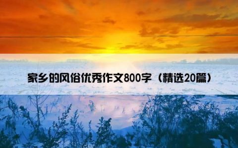 家乡的风俗优秀作文800字（精选20篇）