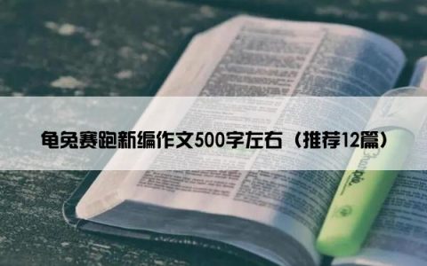 龟兔赛跑新编作文500字左右（推荐12篇）