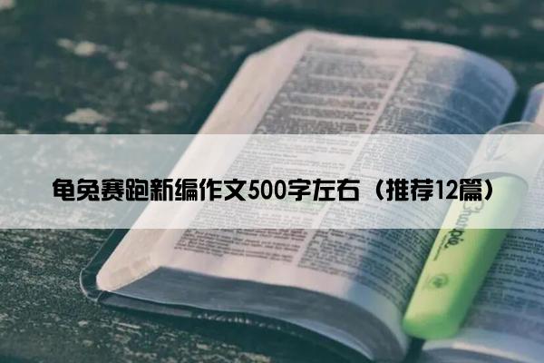 龟兔赛跑新编作文500字左右（推荐12篇）