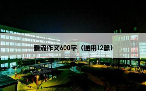 暖流作文600字（通用12篇）
