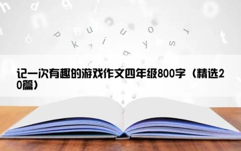 记一次有趣的游戏作文四年级800字（精选20篇）