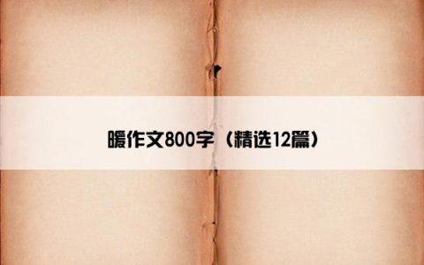 暖作文800字（精选12篇）