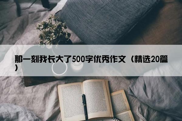 那一刻我长大了500字优秀作文（精选20篇）