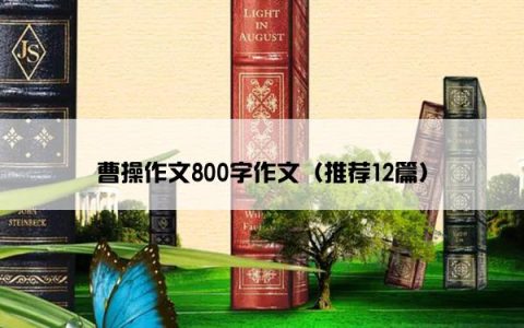 曹操作文800字作文（推荐12篇）