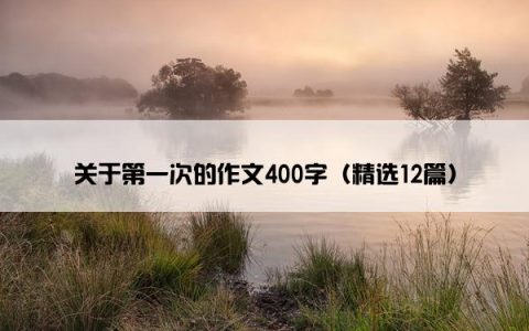 关于第一次的作文400字（精选12篇）