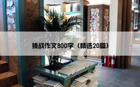 挑战作文800字（精选20篇）