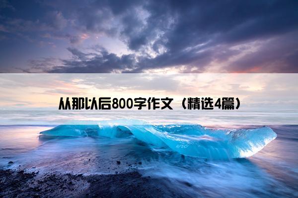 从那以后800字作文（精选4篇）