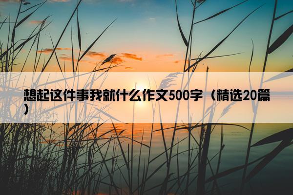 想起这件事我就什么作文500字（精选20篇）