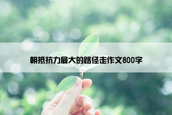 朝抵抗力最大的路径走作文800字