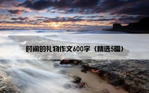 时间的礼物作文600字（精选5篇）
