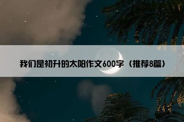 我们是初升的太阳作文600字（推荐8篇）