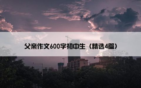 父亲作文600字初中生（精选4篇）