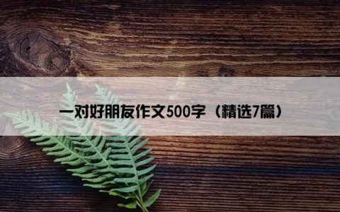 一对好朋友作文500字（精选7篇）