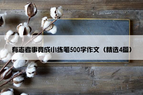 有志者事竟成小练笔500字作文（精选4篇）