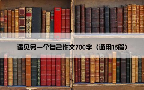 遇见另一个自己作文700字（通用15篇）