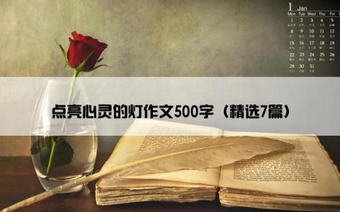 点亮心灵的灯作文500字（精选7篇）