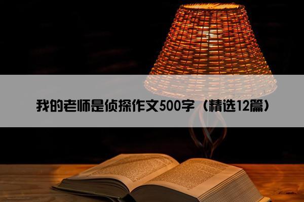 我的老师是侦探作文500字（精选12篇）