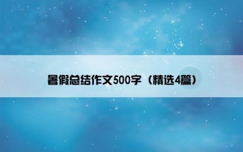 暑假总结作文500字（精选4篇）