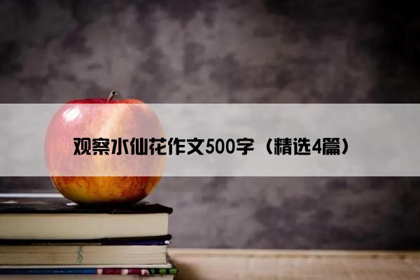 观察水仙花作文500字（精选4篇）